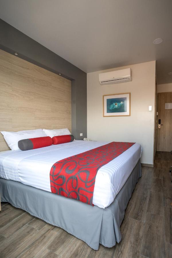 Hotel Roble Мехіко Екстер'єр фото